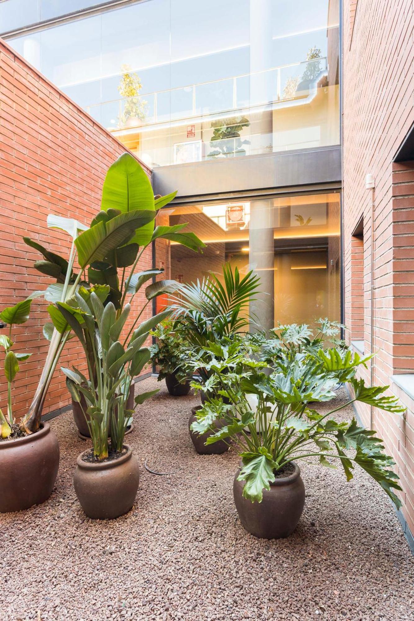 Hotel Terrassa Confort 외부 사진